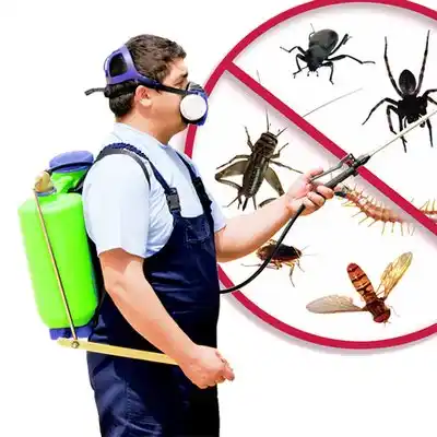 pest control Garysburg